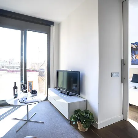Friendly Palau Apartment Barcelona