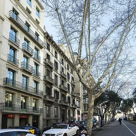 Friendly Palau * Barcelona